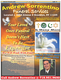volume12_Page_17.png image by erosembers