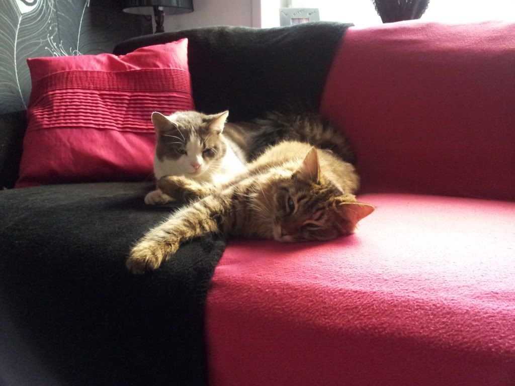 2011-06-21203237.jpg