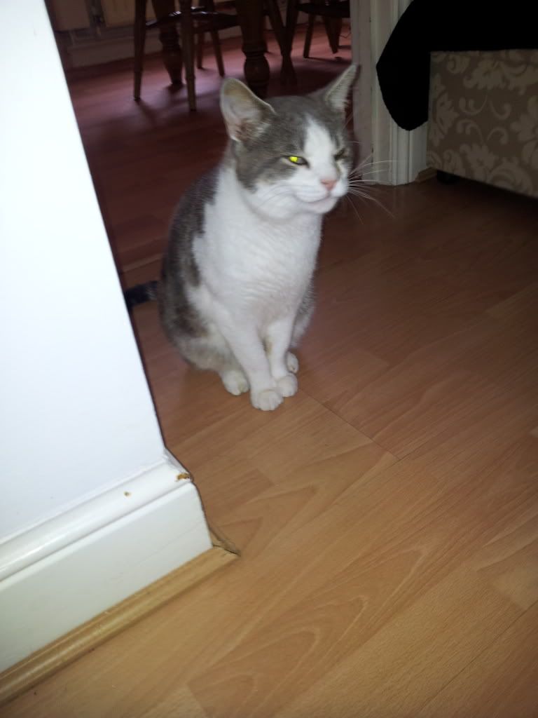 2011-07-20172611.jpg