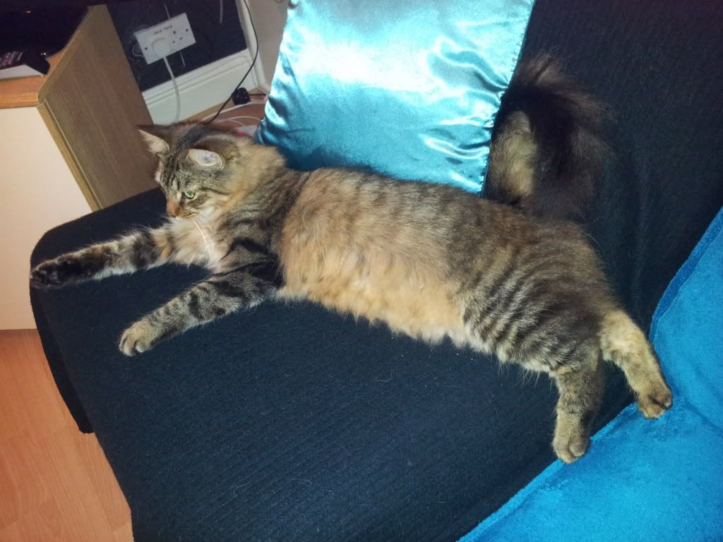 2011-10-13184645.jpg