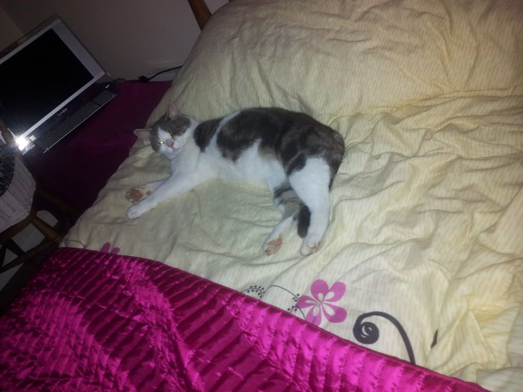 2011-10-23213616.jpg