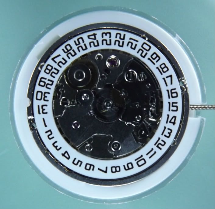 325502DW.jpg