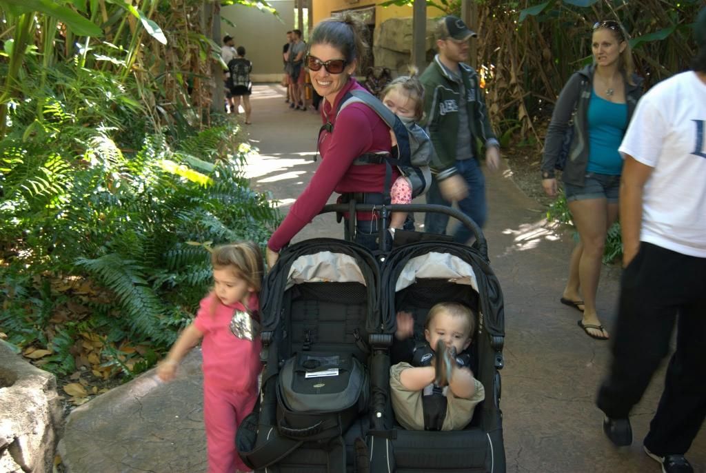 Zoo Miami with kids