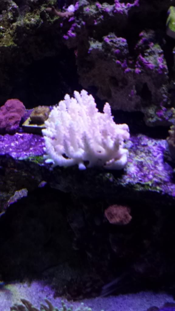 20130819_081424.jpg