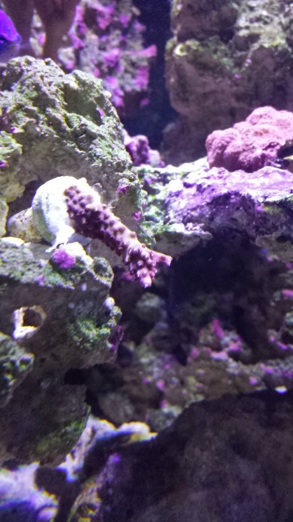20130819_081439.jpg