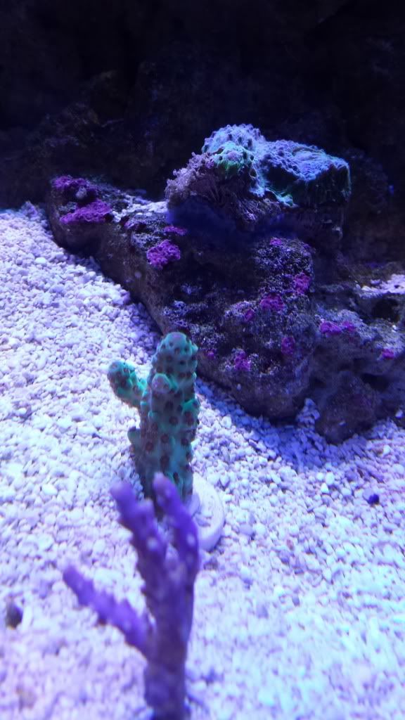 20130821_104533.jpg