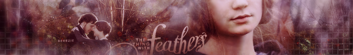 feathers