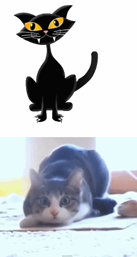 2miau.gif~original