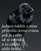 oie_EZM1MKMwNpwh.gif~original