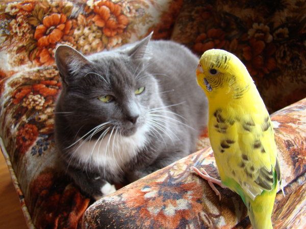 sudden_intrest_by_JeskaLynn.jpg~original