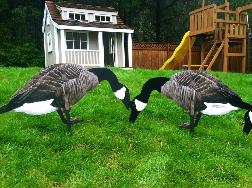 silehouette goose decoys ( real geese pro series ) Goose Decoy Forum