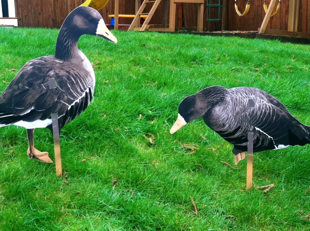 silehouette goose decoys ( real geese pro series ) Goose Decoy Forum