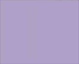 Spring painting video SpringIntoYourPaintingProjectWithBusyBeesCustomInteriorExteriorPainting2.mp4