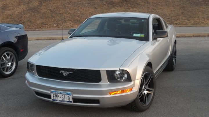 http://i1092.photobucket.com/albums/i413/wilson649/mustang-front-shot-niagara-river.jpg