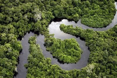 Hutan Amazon new 7 wonders of nature