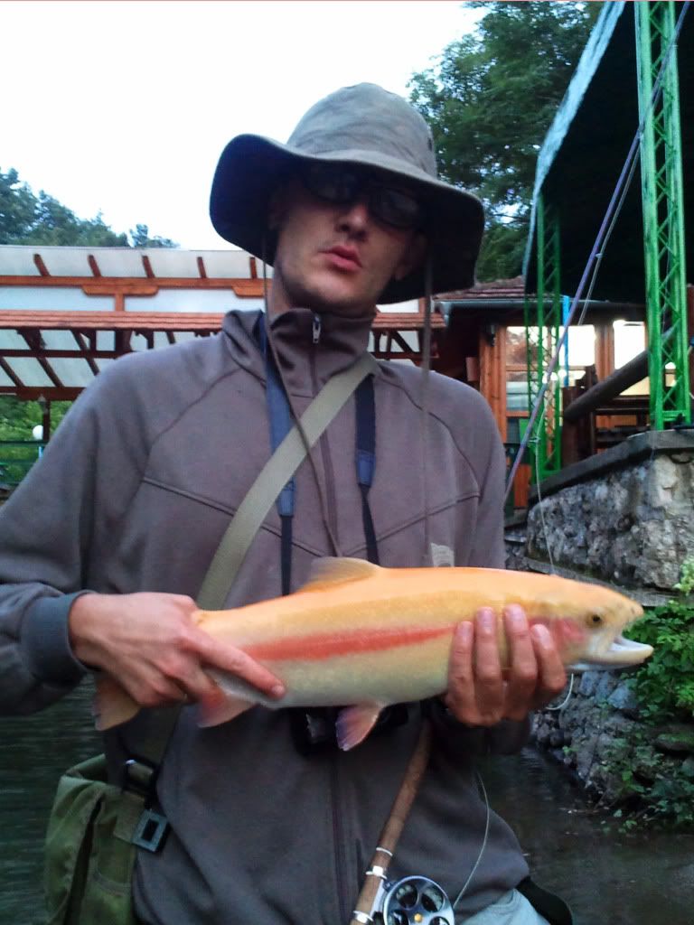 2011-07-02202728.jpg