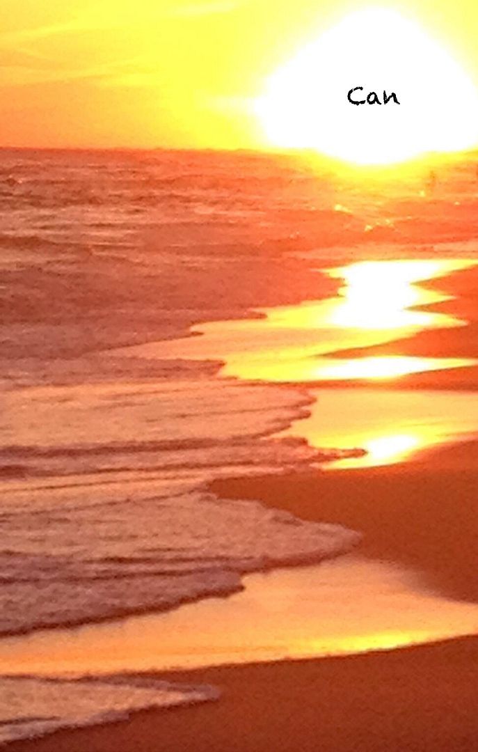 Recovery Reflections