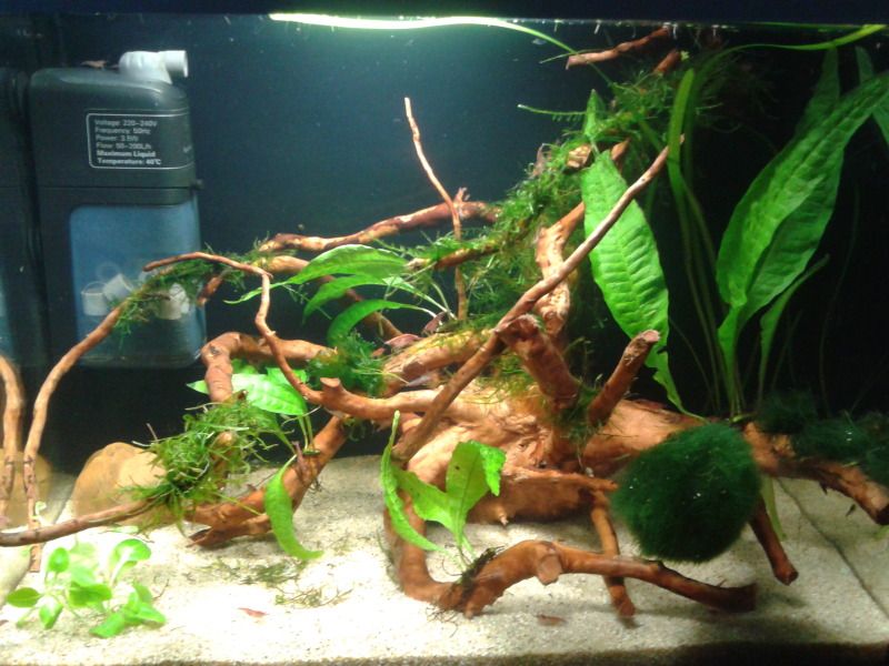 2012-07-30211337.jpg