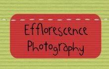 Efflorescence Photography