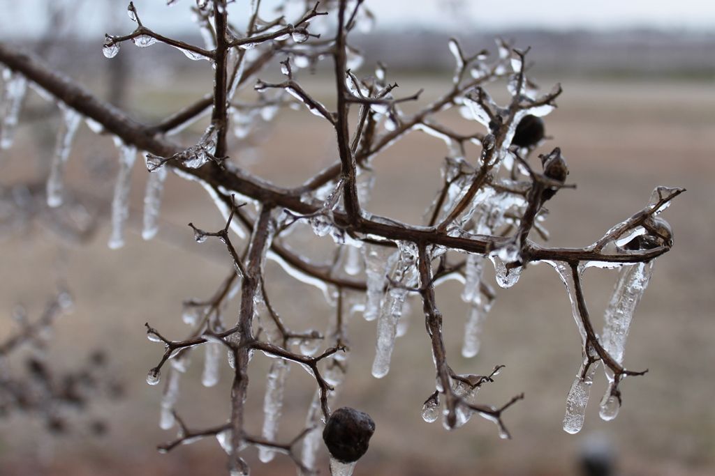 IMAGE: http://i1092.photobucket.com/albums/i419/briley2006/Blizzardof20141_zps33d1c82b.jpg