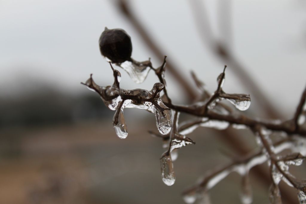 IMAGE: http://i1092.photobucket.com/albums/i419/briley2006/Blizzardof20145_zpsba146389.jpg