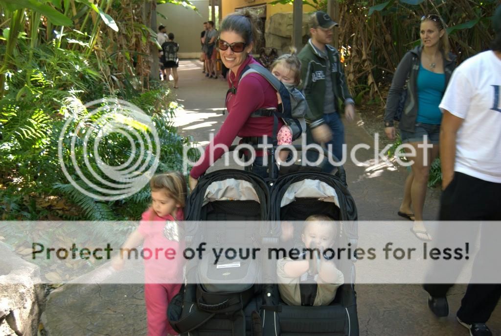 Zoo Miami with kids