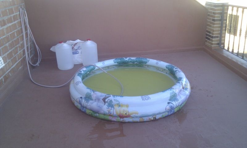 IMAG0692.jpg