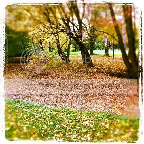 Photobucket Pictures, Images and Photos
