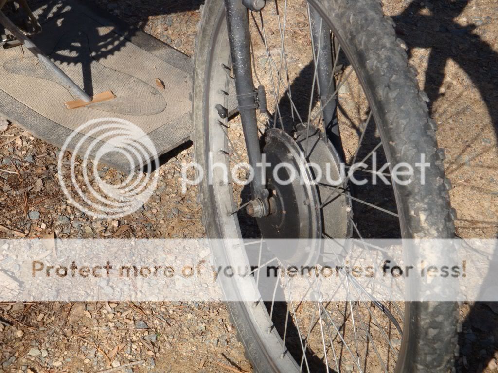 THE WACKY WORLD OF CRAIGSLIST AND EBAY ADS visual data 8